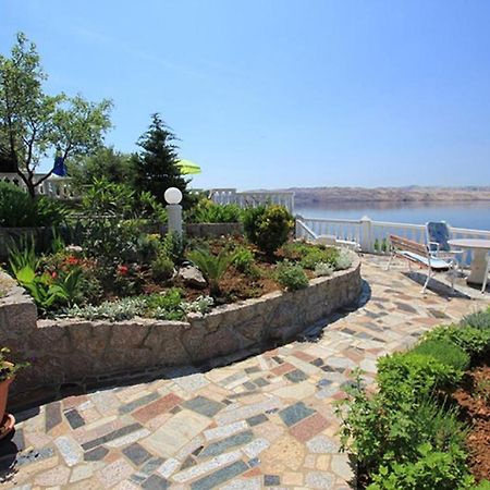 Villa Lilly Cesarica Exterior photo